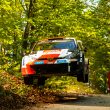 WRC, Rally Κροατίας